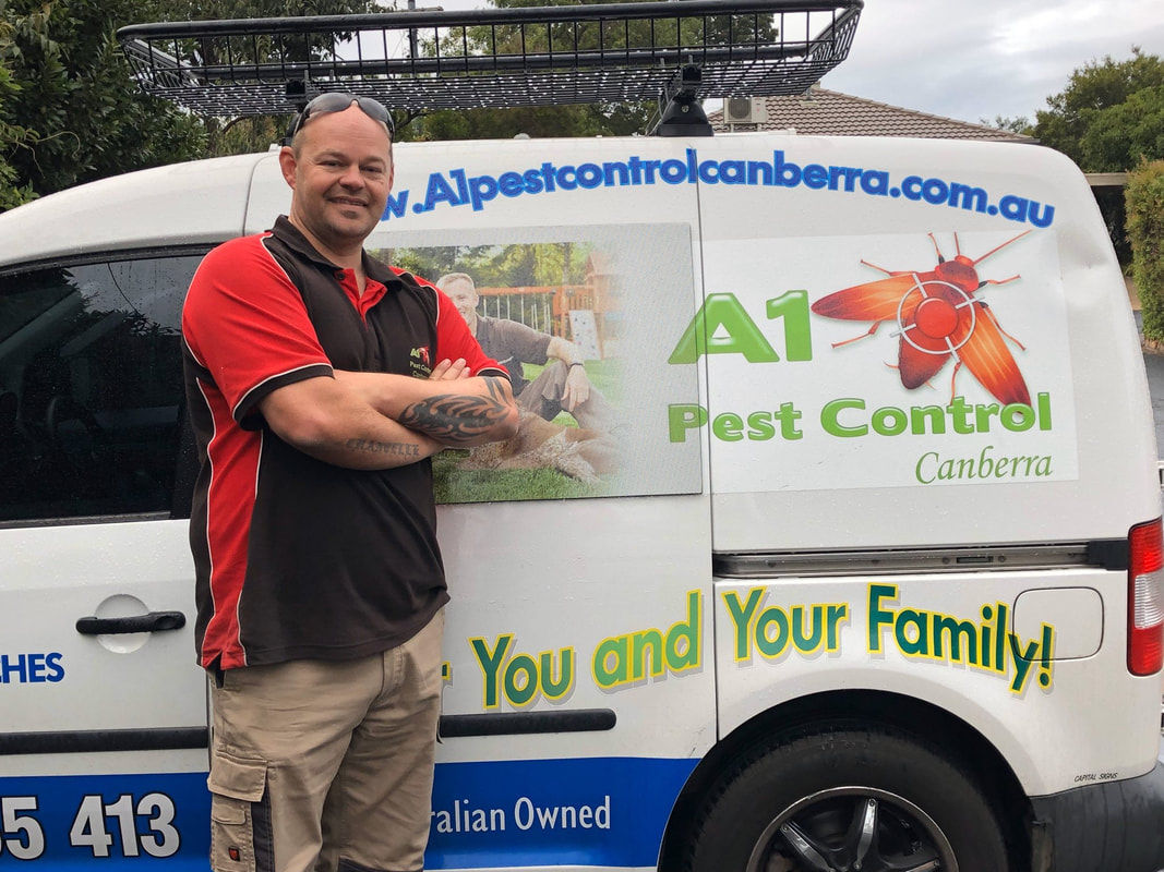 A1 Pest Control Canberra business image in Phillip, Australian Capital Territory